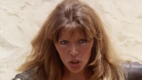 The Arena (1974) (BDRip)