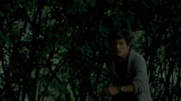 Patrick vive ancora (1980)