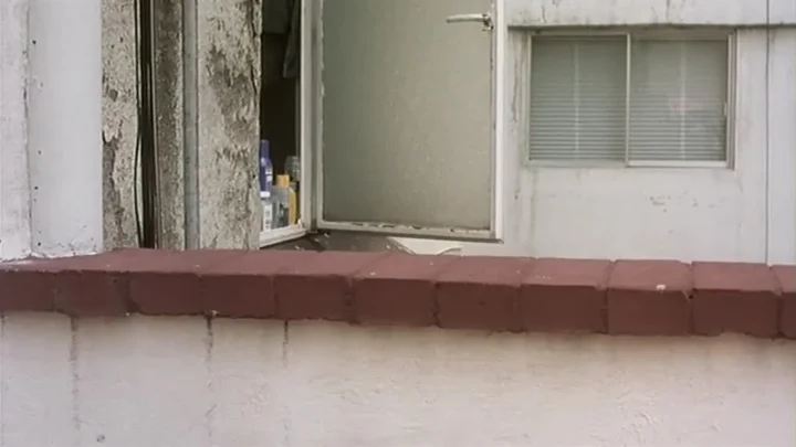 Batalla en el cielo (2005)