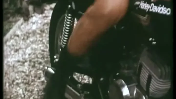 Il terno a letto (1980)