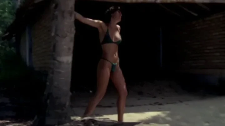 As Intimidades de Analu e Fernanda (1980)