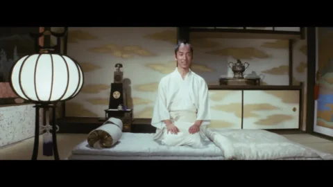 Shin irogoyomi ooku hiwa yawahada kenjo (1972)