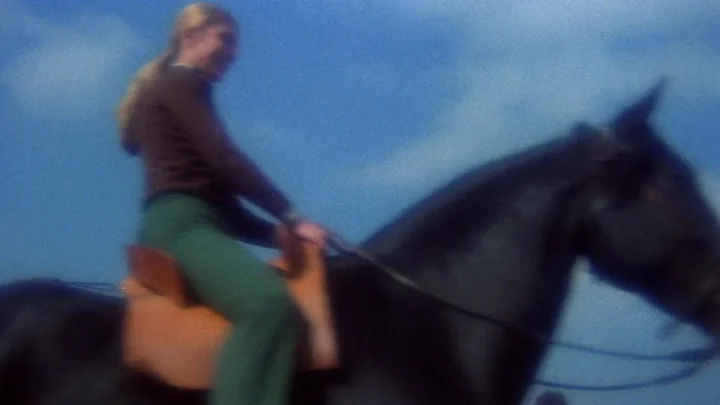 The Coming of Sin (1978)