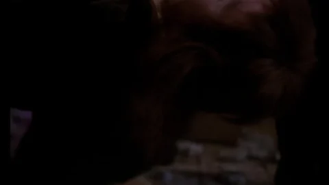 Niezwykla podróz Baltazara Kobera (1988)