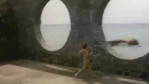 O Inseto do Amor (1980)