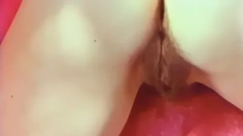 Super Beavers 04 (1960’s)