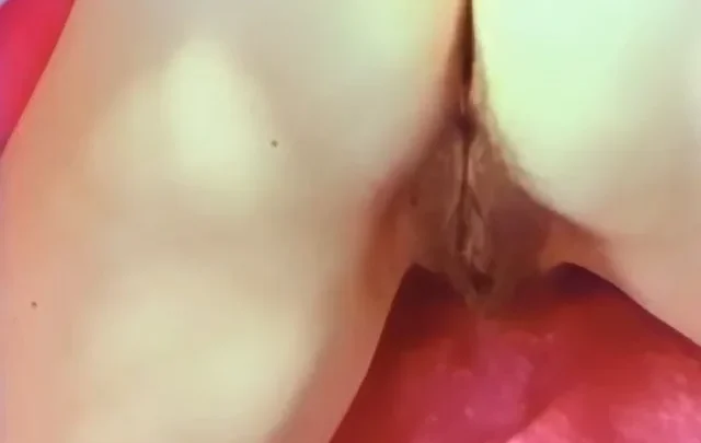 Super Beavers 04 (1960’s)