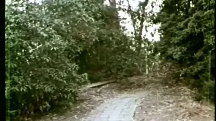 A Taste of Hot Lead (1969)