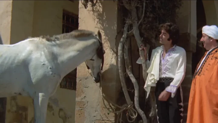 Le amorose notti di Ali Baba (1973) (FullHDRip)