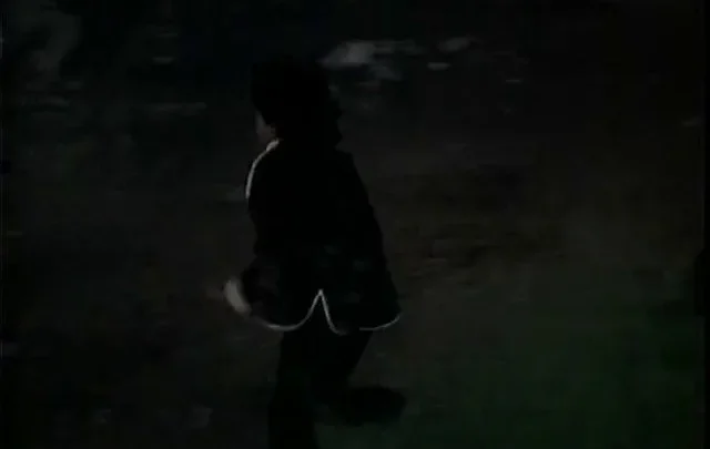Friday Foster (1975)