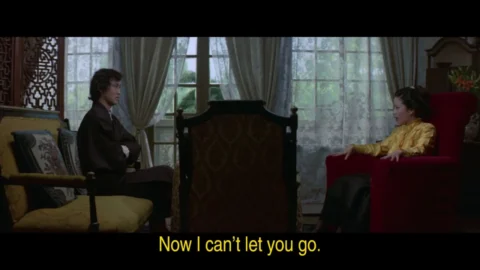 The Watcher in the Attic (1976) (FullHDRip)