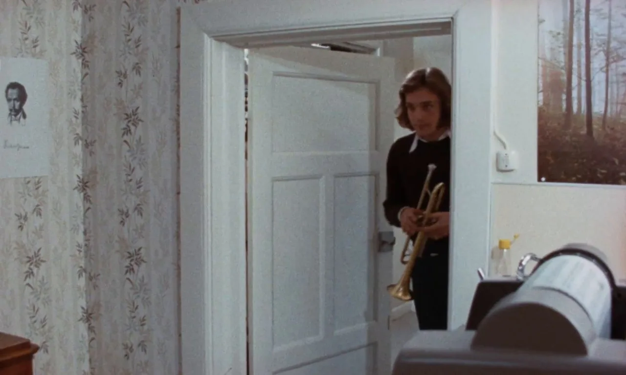 Anita: Swedish Nymphet (1973)  (FullHDRip)