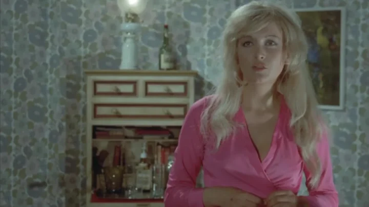 Las ratas no duermen de noche (1973)