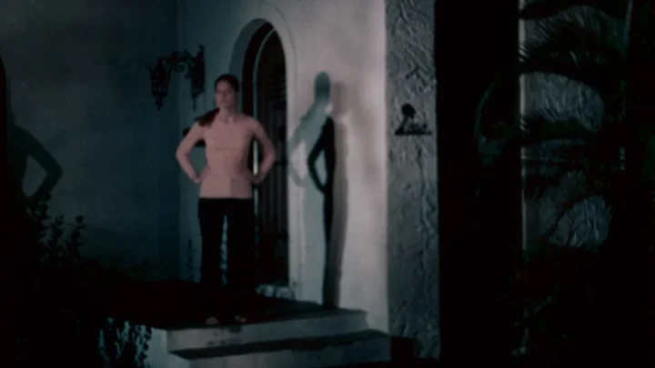 Sometimes Aunt Martha Does Dreadful Things (1971)