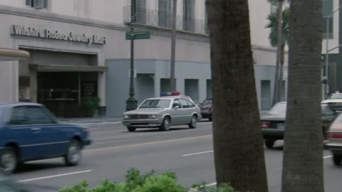 The Lonely Lady (1983) (Better Quality)