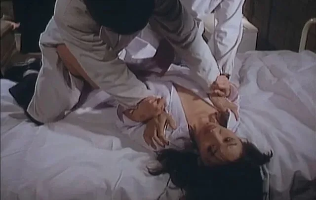 Chikan densha: Abunai futomomo (1988)