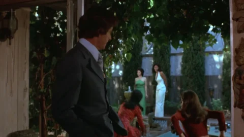 Foxy Brown (1974)