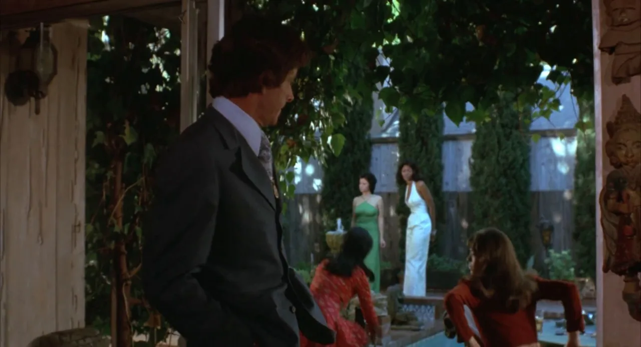 Foxy Brown (1974)