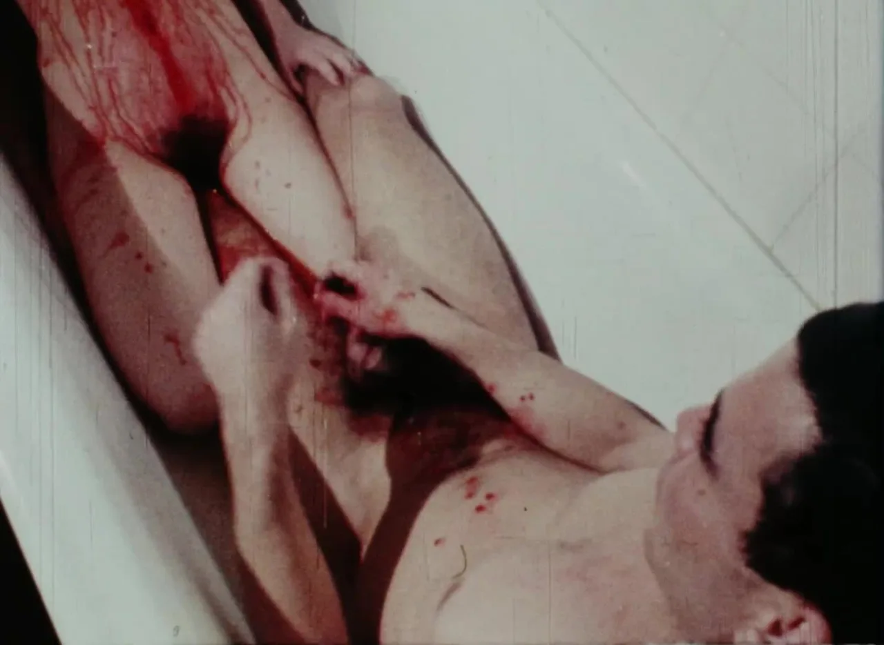 À l’ombre de la canaille bleue (1986)