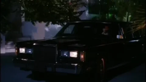 Private Lessons: Another Story (1994)