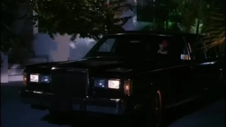 Private Lessons: Another Story (1994)