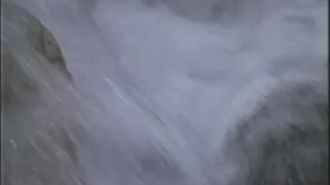 Chaz and Vinnie’s Sex Adventure (1992)