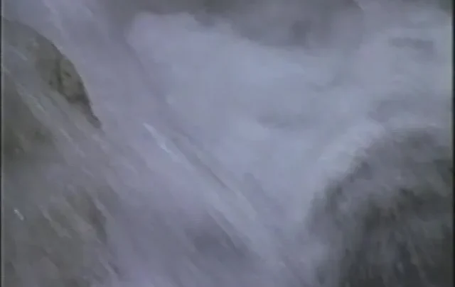 Chaz and Vinnie’s Sex Adventure (1992)