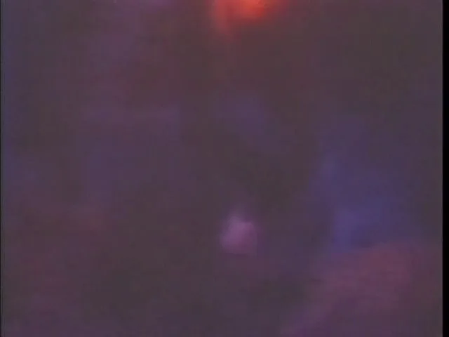 Primal (1994)