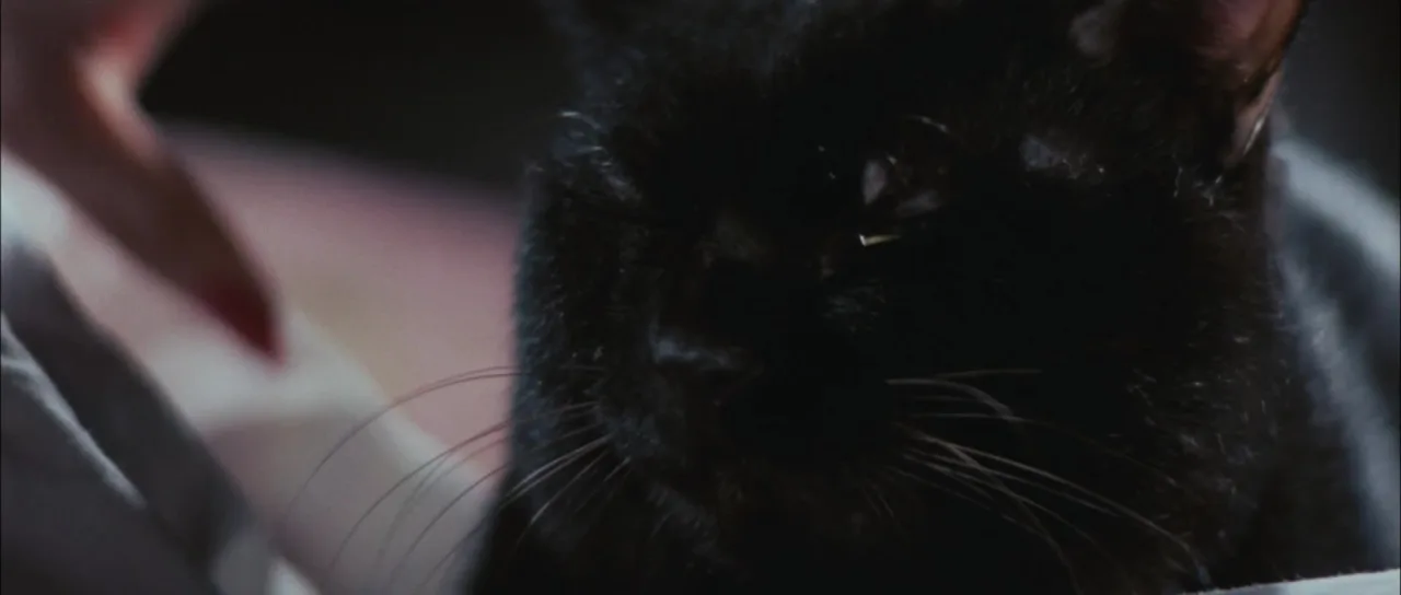 Bakeneko Toruko furo (1975)