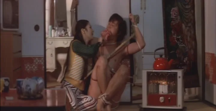Painful Bliss Final Twist (1977)