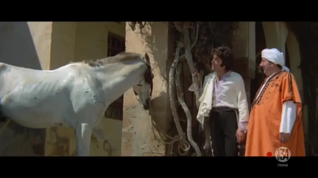 Le amorose notti di Ali Baba (1973) (Better Quality)