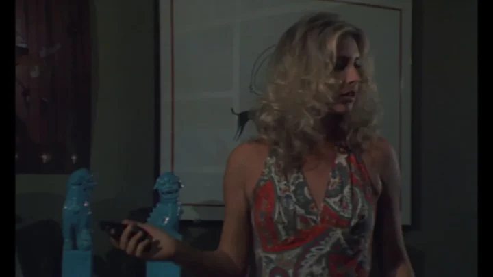 Scusi, lei è normale? (FullHDRip) (1979)