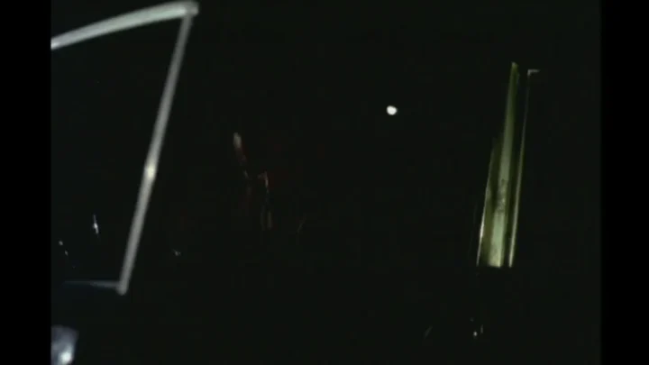 Os Amores da Pantera (1977)