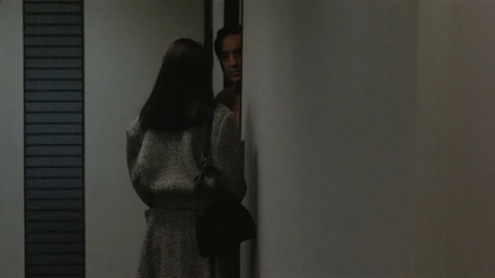 Hitohira no yuki (1985)