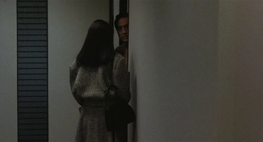 Hitohira no yuki (1985)