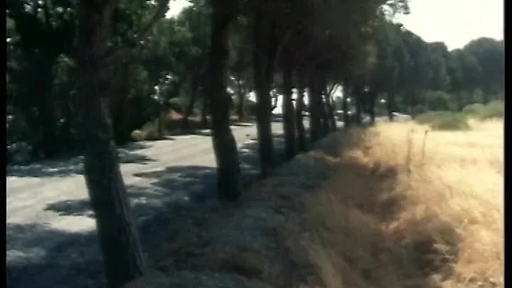 Ta paidia ton louloudion (1973)