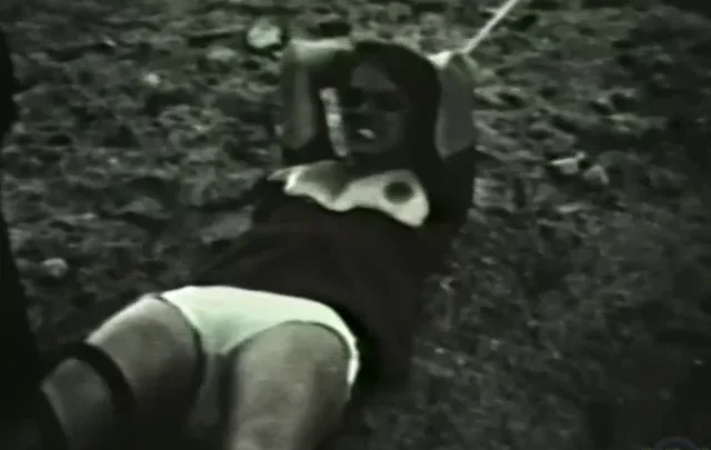 Bizarro Sex Loops 11 (1950-70’s)