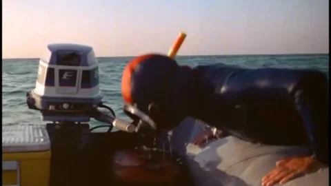 Tintorera (1977) (Better Quality)