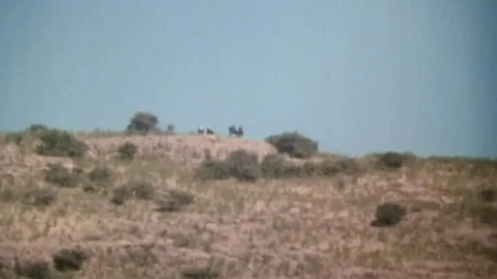 Las mujeres de Jeremias (1981)