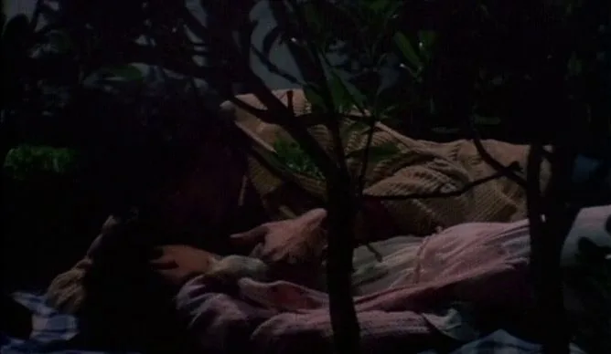 La liceale seduce i professori (1979) (Better Quality)