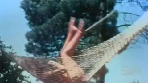 A French Honeymoon (1964)