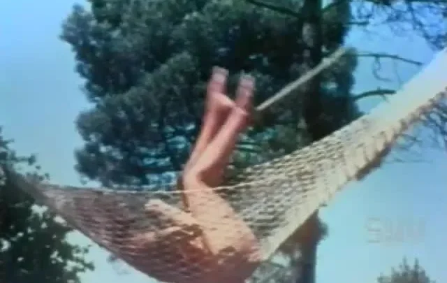 A French Honeymoon (1964)