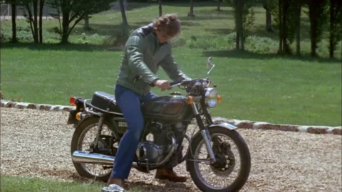 Les amours singulieres (1977)