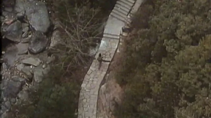 Nan Jing de ji du (1995)