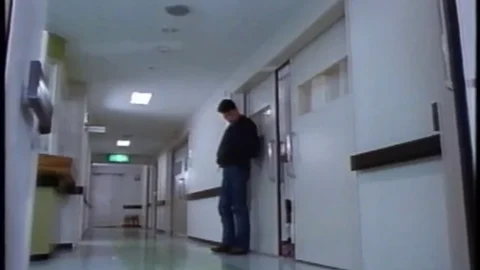 Final Fighter (1994)