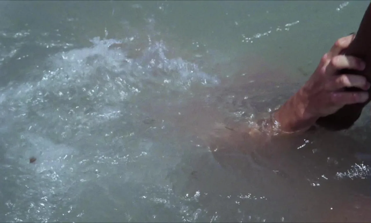 Die Todesgöttin des Liebescamps (1981)  (FullHDRip)