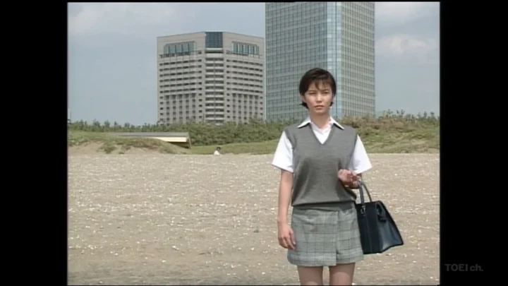 Female Teacher Diary 3: Hidden Sex (1997)