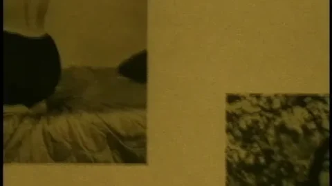 100 Girls Of Bunny Yeager (1999)
