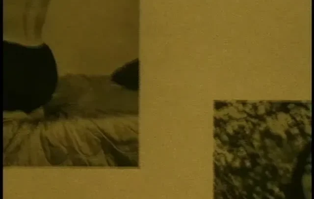 100 Girls Of Bunny Yeager (1999)