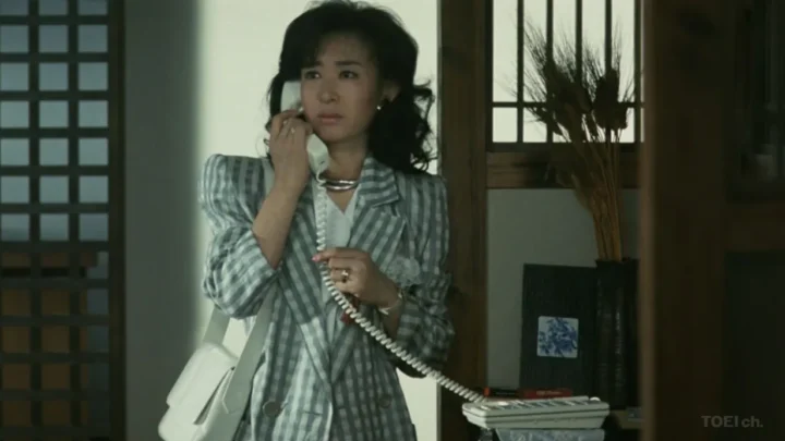 Wakarenu riyû (1987)